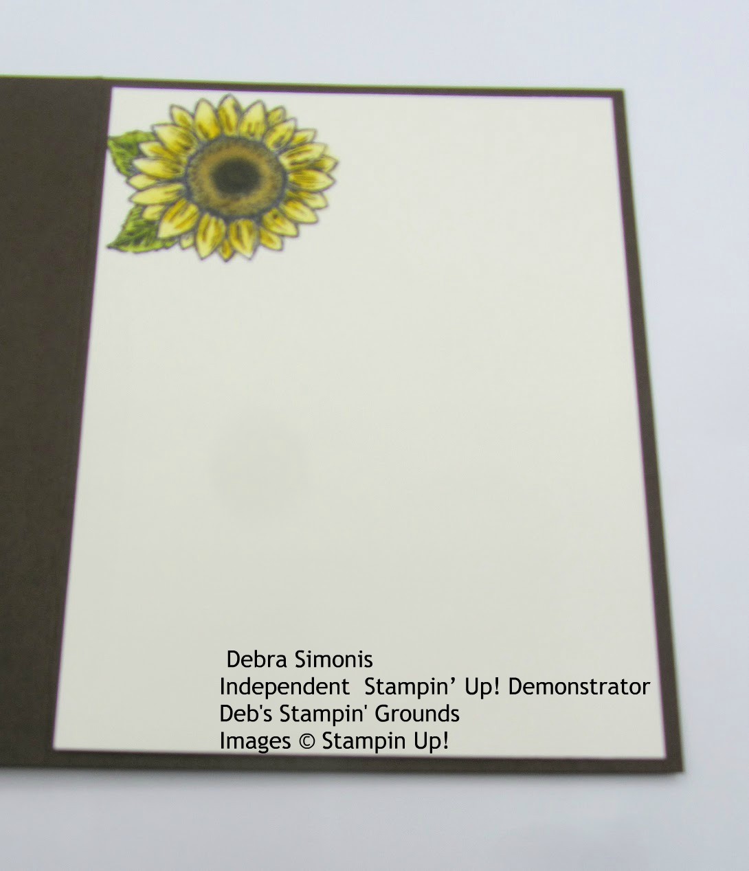 Stampin-Up-Celebrate-Sunflowers-stamp-set-Sunflowers-Dies-birthday-card-celebrate-you-inside-view-Debra-Simonis-Stampinup