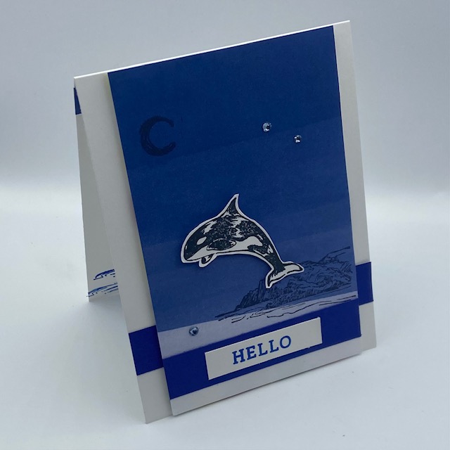  Bubble net feeding Stampin-Up-Whale-Watching-hello-card-thinking-of-you-ocean-lover-Debra-Simonis-Stampinup